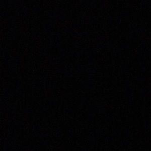 Meet your Posher, Roy